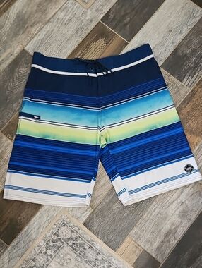 Ron Jon Surf Shop Men's Navy, Aqua & Lime Striped Board Shorts